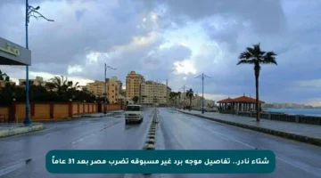 شتاء نادر.. تفاصيل موجة برد غير مسبوقة تضرب مصر بعد 31 عاماً